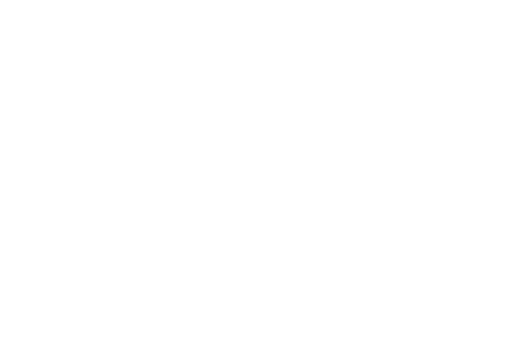 Animation-never-ever-Logo-R